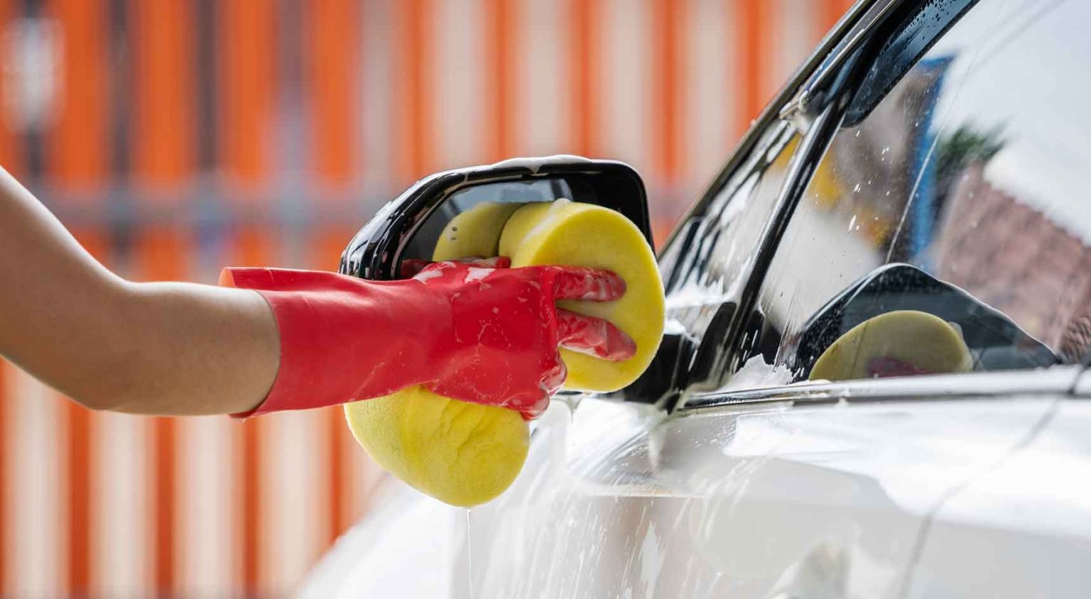 Keep your car creepycrawly free sa move The RAA Magazine