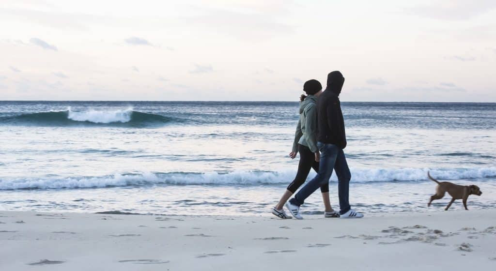 Wintry scene of a couple and their dog on the beach.