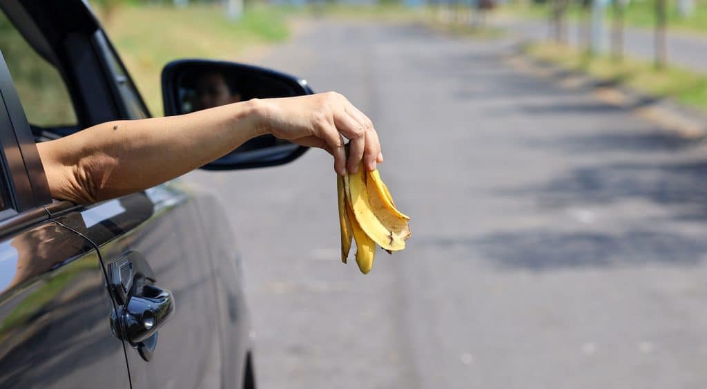Picture of a driver dropping a banana peel from the car window