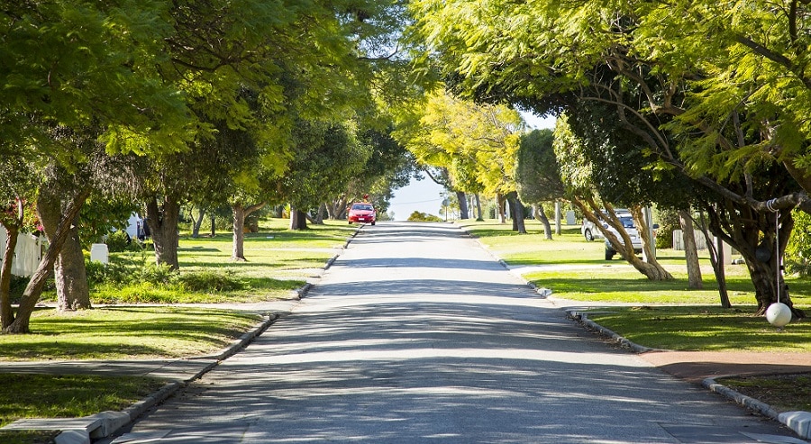 A landscape picture of a road.