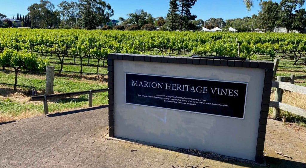 Marion Heritage Vines.