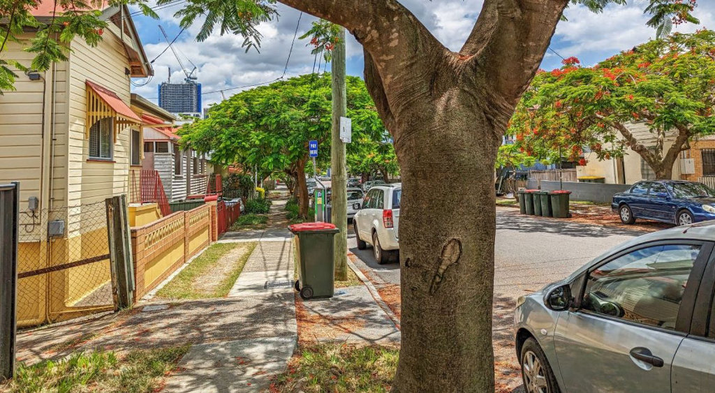 Parked cars with garbage bins lining the road.