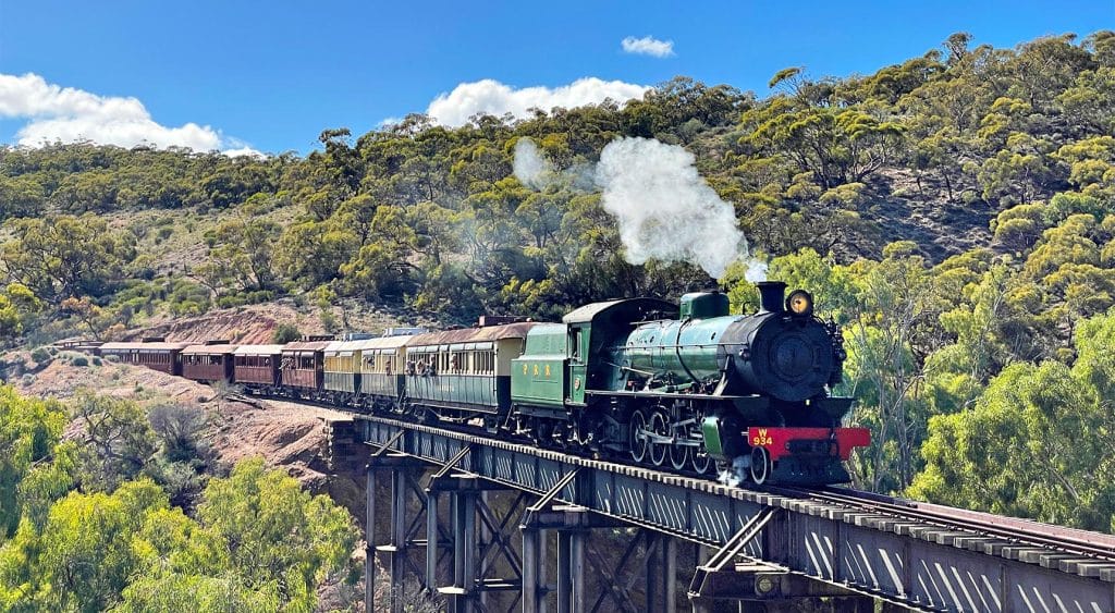 Steam train crossing a bridge on the Pichi Richi Railway.