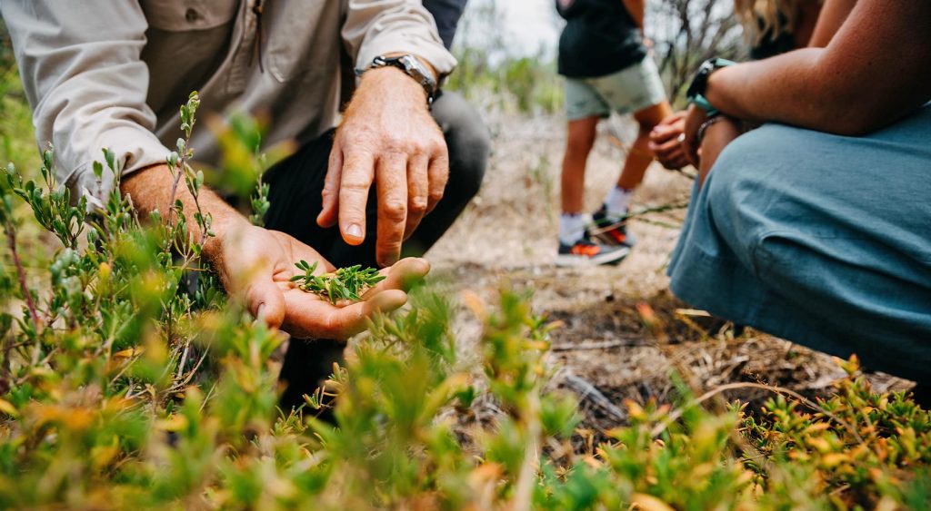 Up close of hands holding a plant.