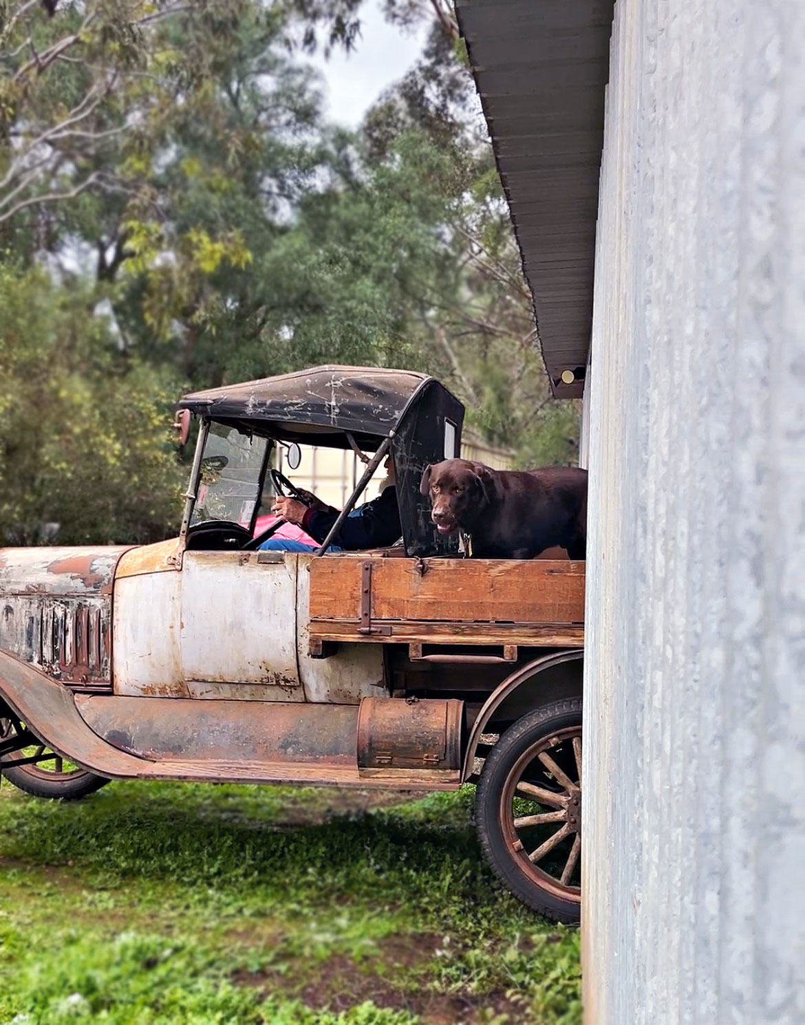 Driving vintage car into shed