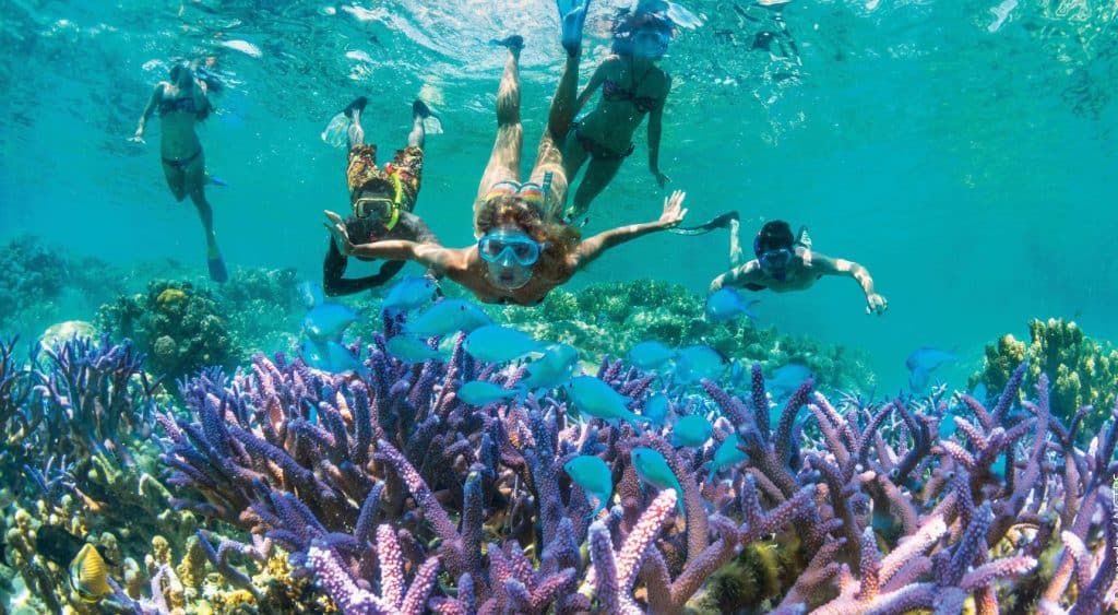 Reef snorkelling in New Caledonia.